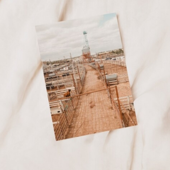 🐎 Oklahoma Stockyards | Photography Postcard: 5x7 || gift, western, rodeo, cow - Picture 2 of 11